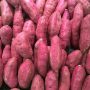 why are sweet potatoes good for you